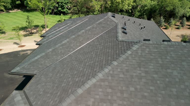 Best Solar Panel Roofing Installation  in Springtown, TX